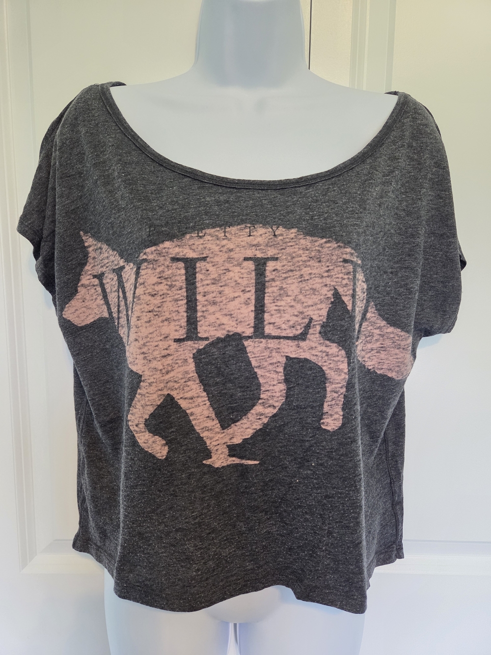 American Eagle Outfitters Grey Crop Tee